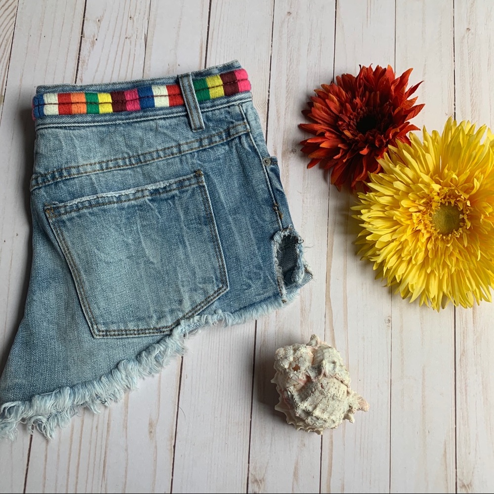 Free people Elliot rainbow embroidered shorts
